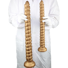 Анальний дилда Extra Langer Monster Spiral Dildo з текстурою для чоловіків та жінок, стимуляція G-точки, глибока анальна стимуляція, LZYLWC (L/Золото)