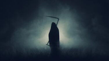 Реалістичний секс-іграшка Fleshlight Reaper з міцного силікону, 22,5 x 5 см