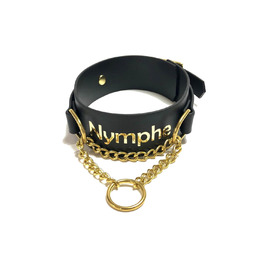 Нашийник з замком, BDSM нашийник з персональним написом, власність, Cum Slut, Bitch, нашийники Biothane BDSM