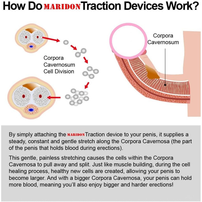 Набір для чоловіків Guspiun: вакуумна помпа для збільшення пеніса та покращення ерекції. Інтимні іграшки для дорослих. SM